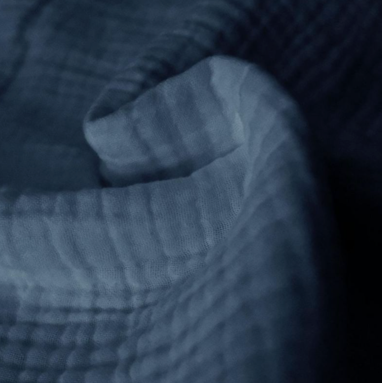 Double gaze - Paon 🦚 - Points dorés