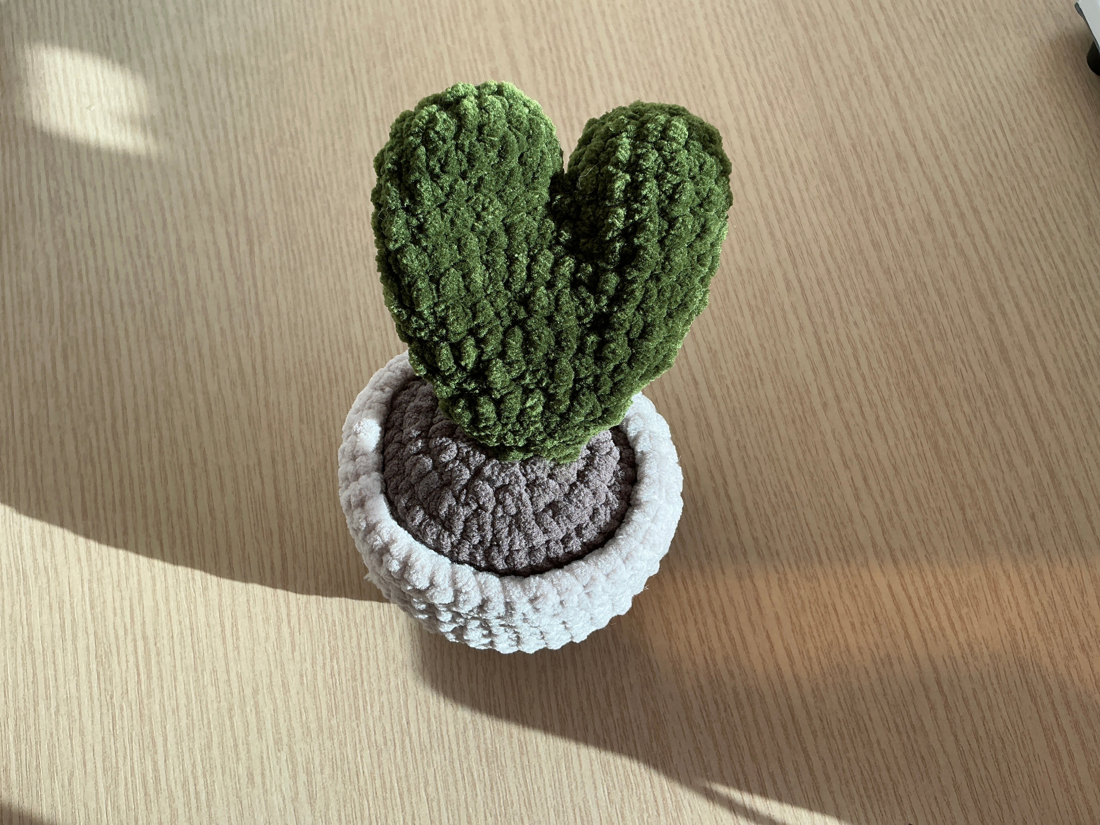 Peluche cactus