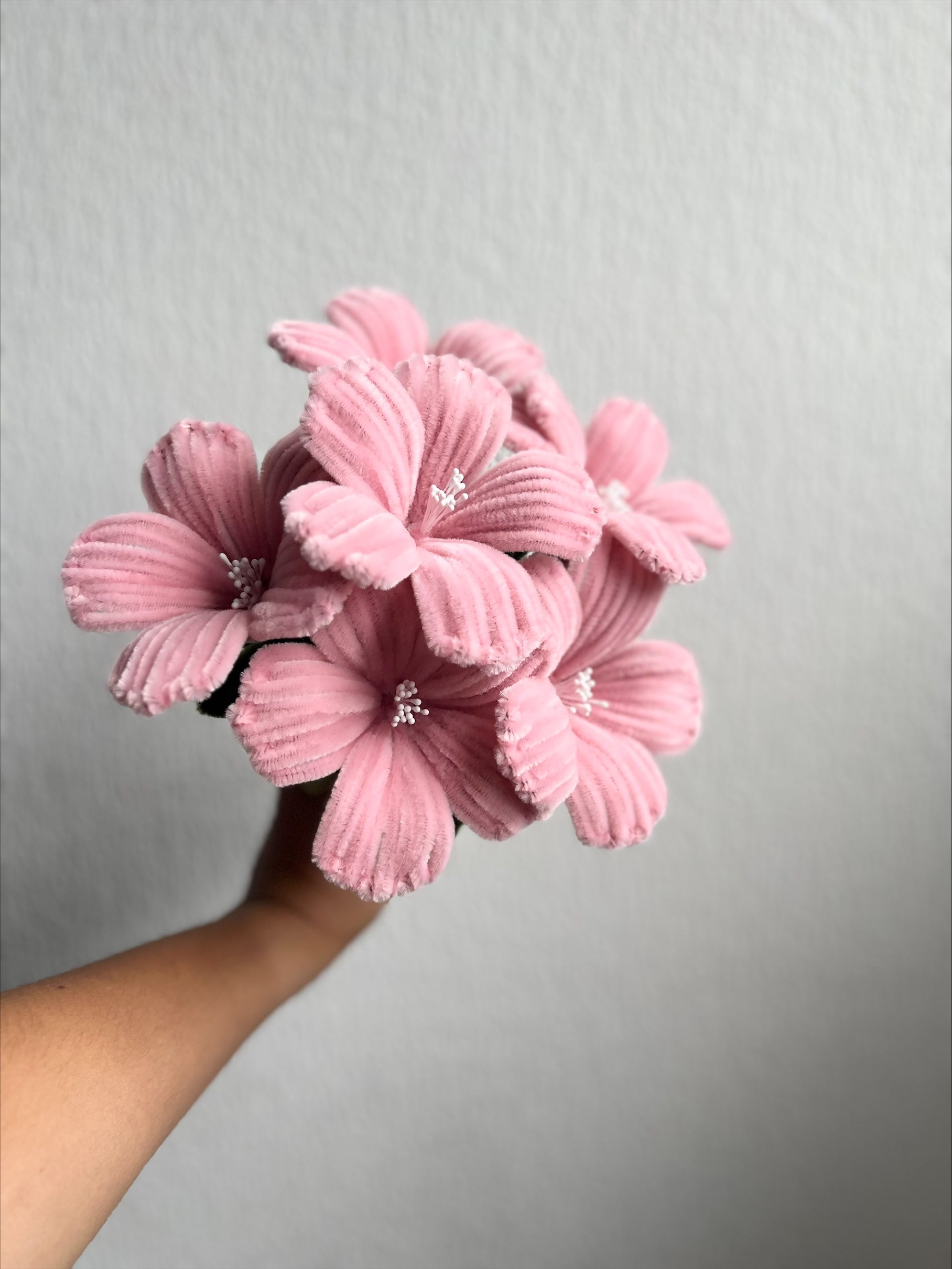 Mademoiselle Hibiscus