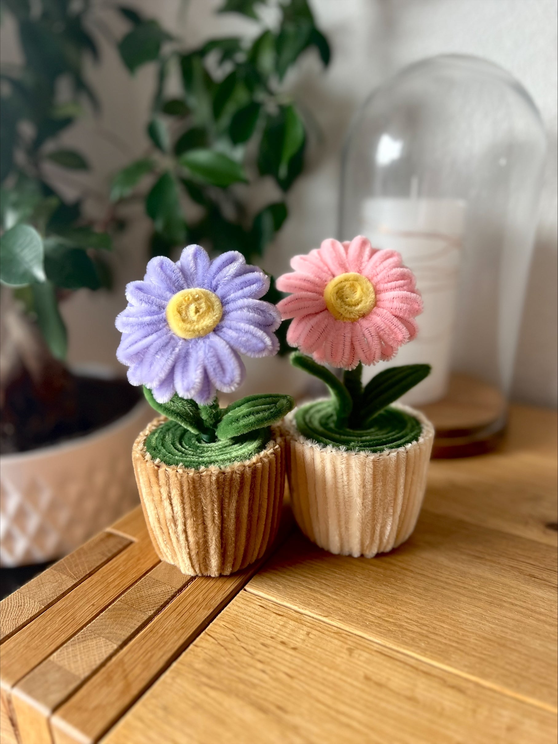Mini Marguerite